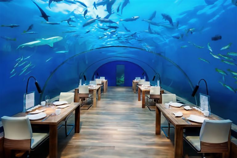 مطعم إيثا تحت البحر – جزر المالديف المصدر: Ithaa Undersea Restaurant