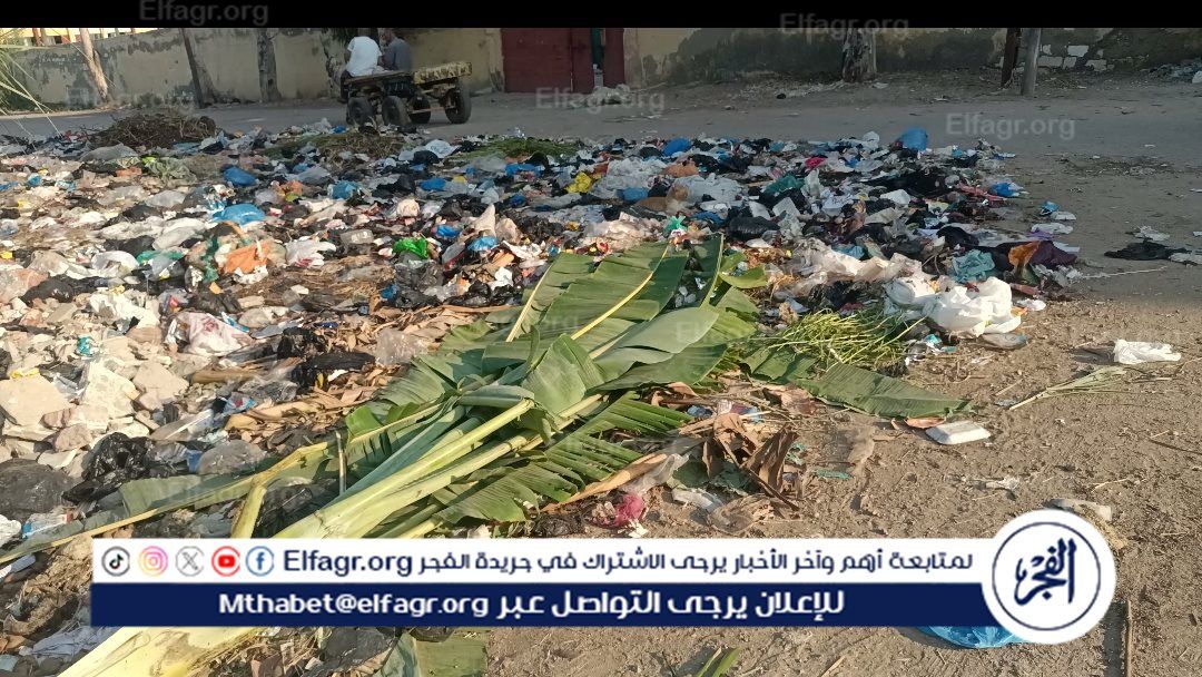 46abed1d40.jpg