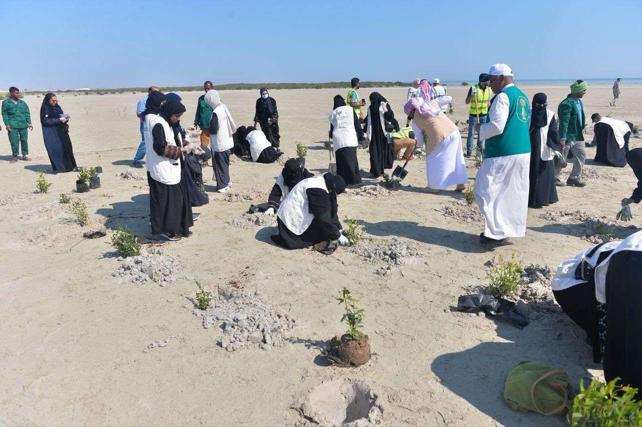 مبادرة زراعة 100 ألف شجرة مانجروف بالقطيف