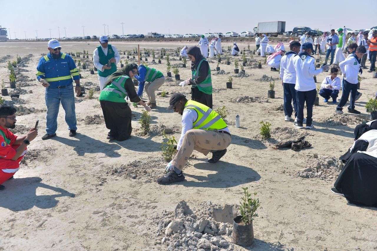 مبادرة زراعة 100 ألف شجرة مانجروف بالقطيف