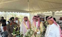 مبادرة زراعة 100 ألف شجرة مانجروف بالقطيف