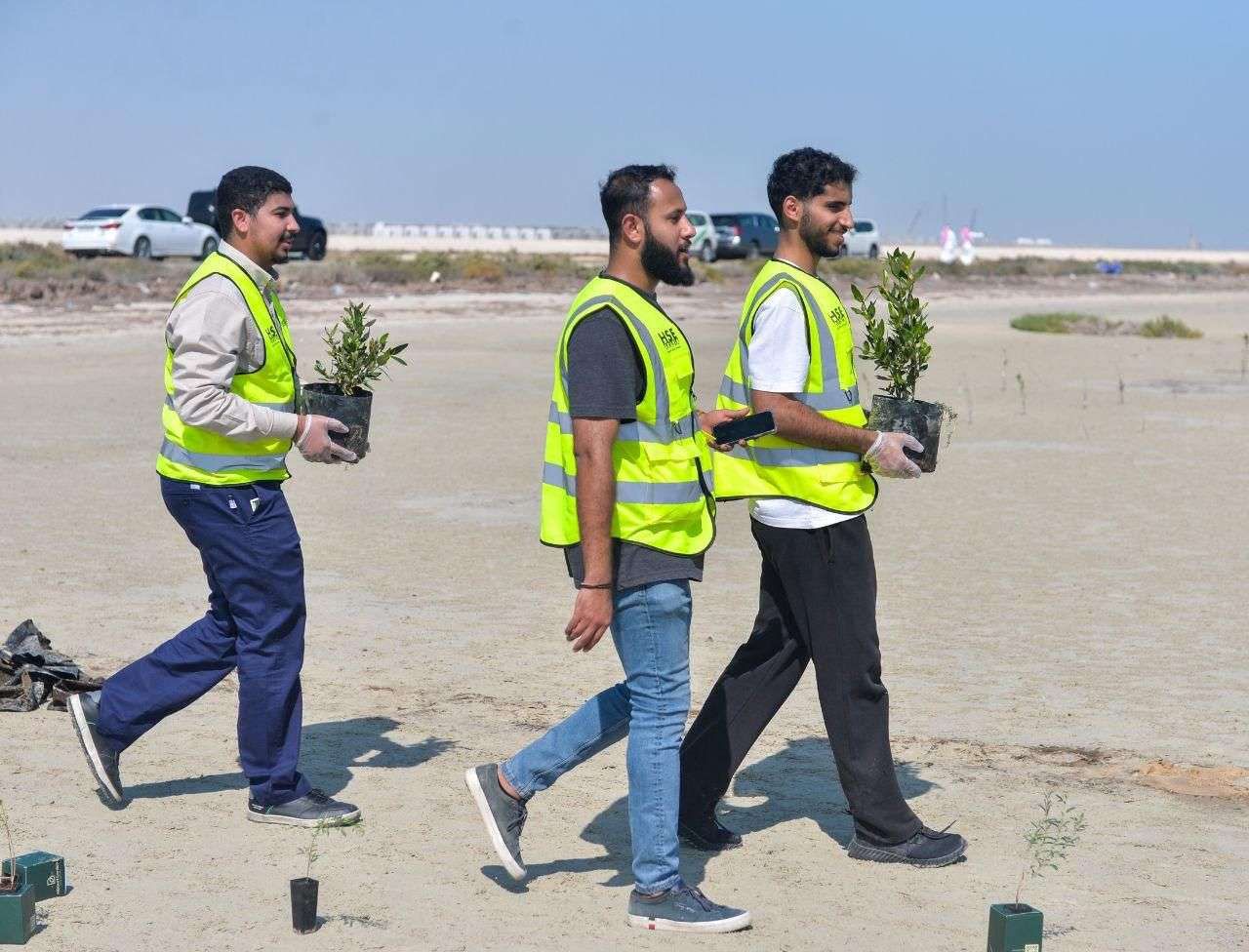 مبادرة زراعة 100 ألف شجرة مانجروف بالقطيف