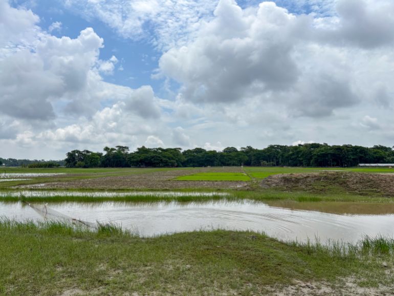 A view of West Sonatala [Diwash Gahatraj/Al Jazeera]