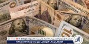 خبير اقتصادي: تصريح رئيس الوزراء عن سعر الدولار طبيعي وصحي - زاجل الإخباري