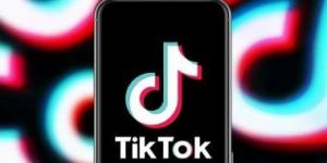 توقف تطبيق TikTok فى الولايات المتحدة الأحد 19 يناير.. اعرف التفاصيل - زاجل الإخباري