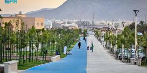 سقيا النباتات بتقنيات ذكية - زاجل الإخباري
