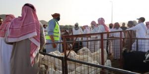 غرفة للبلاغات البيئية الطارئة - زاجل الإخباري