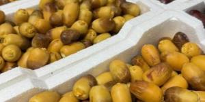 سوق تمور المدينة المنورة يشهد أولى طلائع الرطب - زاجل الإخباري