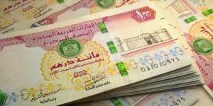 شروط ومعايير استبدال الأوراق النقدية التالفة في الإمارات (فيديو) - زاجل الإخباري