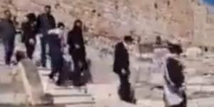 مستوطنون يقتحمون باحات المسجد الأقصى والاحتلال يعتقل 15 فلسطينيا بالضفة - زاجل الإخباري