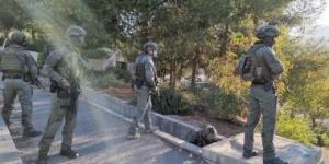 "الجدار والاستيطان الفلسطينية": 11280 اعتداء نفذها الاحتلال فى النصف الأول من 2025 - زاجل الإخباري