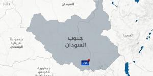 برنامج الأغذية العالمي يسقط مساعدات جوا بجنوب السودان - زاجل الإخباري