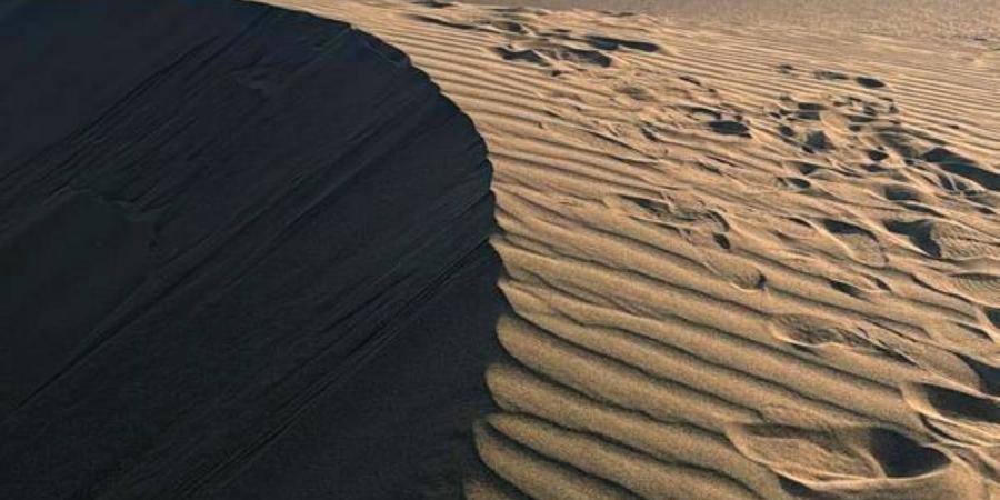 751 بلاغًا لمركبات عالقة ومفقودين - زاجل الإخباري