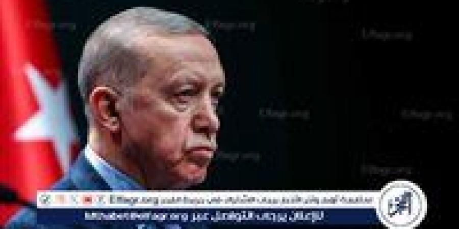 تأكيد على التعاون ودعوة لزيارة تركيا.. اتصال هاتفي مثمر بين أردوغان وترامب - زاجل الإخباري