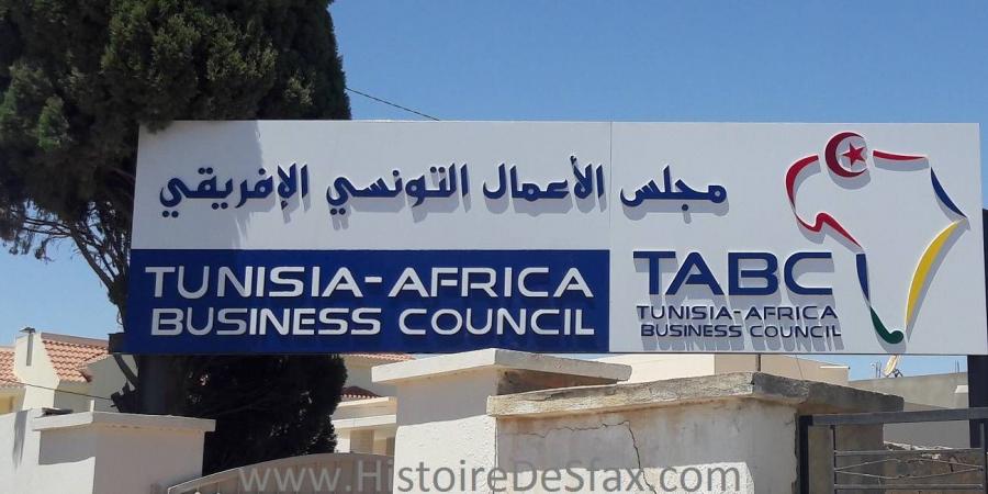 الدور الإماراتي في القارة السمراء نموذج للتعاون التنموي المتكامل - زاجل الإخباري
