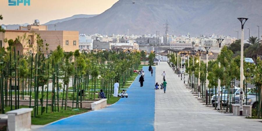 سقيا النباتات بتقنيات ذكية - زاجل الإخباري