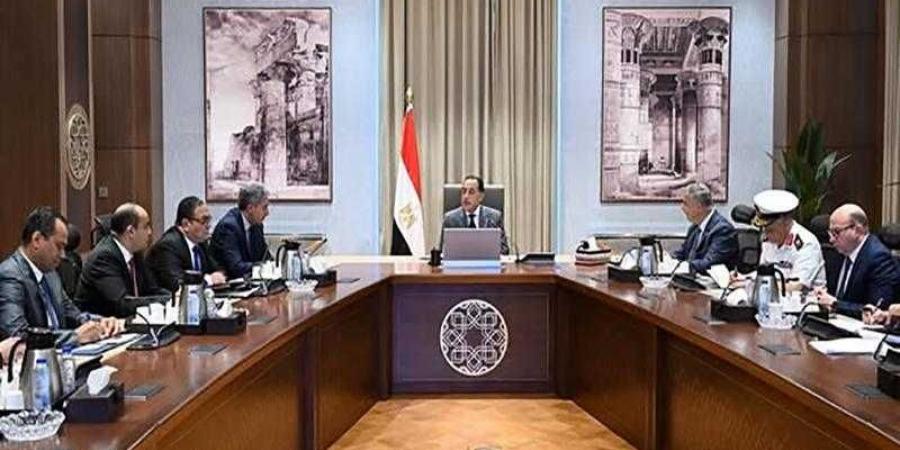 رئيس الوزراء يناقش سُبل الاستفادة من الآثار الغارقة بخليج أبي قير - زاجل الإخباري