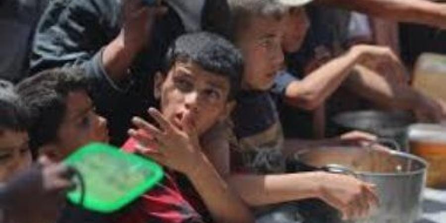 أوتشا: هدف خطة إسرائيل للمساعدات هو صرف الانتباه عن احتياجات الفلسطينيين - زاجل الإخباري