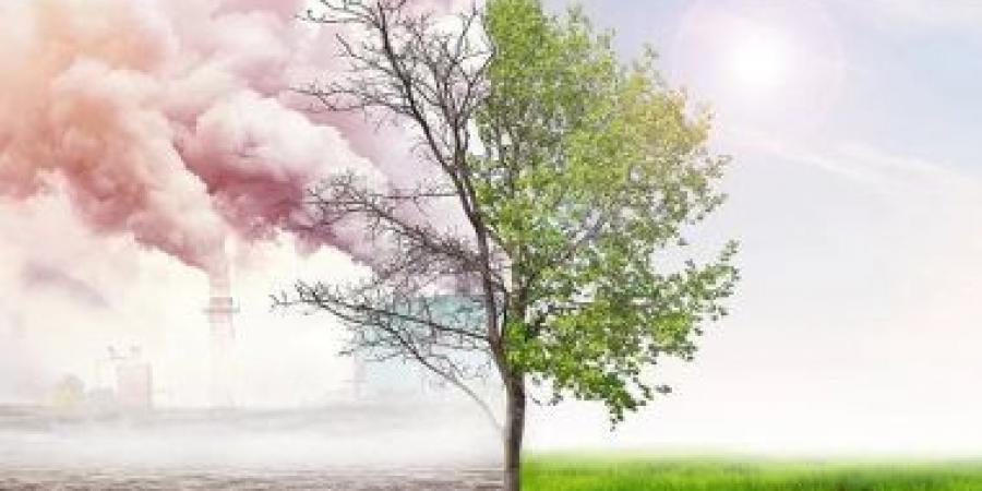 دراسة: تغير المناخ يقلل من إمكانات طاقة الرياح - زاجل الإخباري