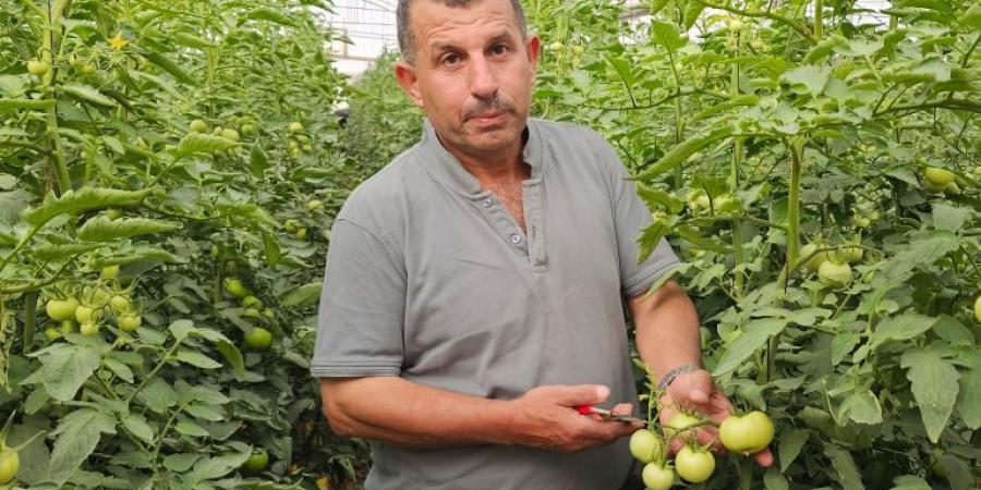 كيف عوّضت الأرض فلسطينيا بعد فقدان عمله خلال الحرب؟ - زاجل الإخباري