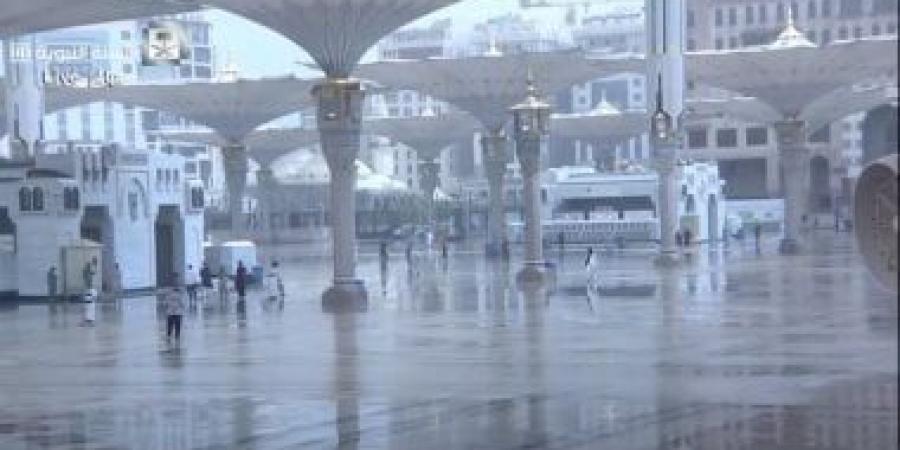 تصحيح تلاوتهن للقرآن.. مبادرة خاصة لزائرات المسجد النبوى - زاجل الإخباري
