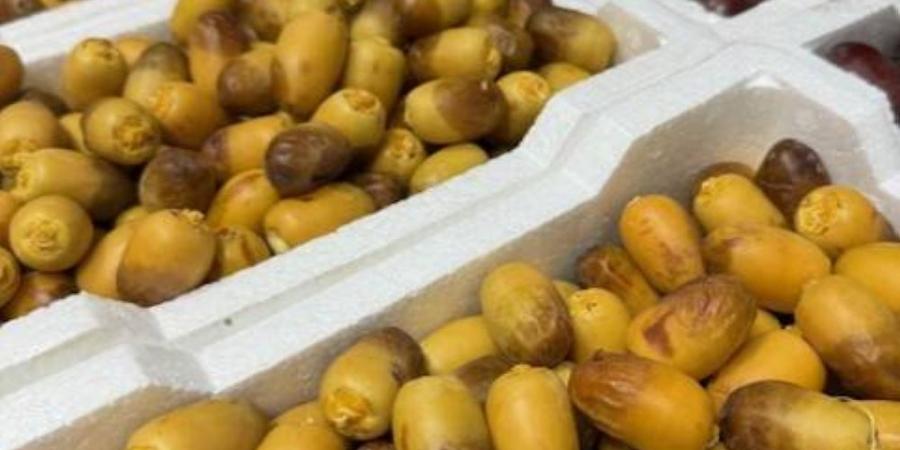 سوق تمور المدينة المنورة يشهد أولى طلائع الرطب - زاجل الإخباري