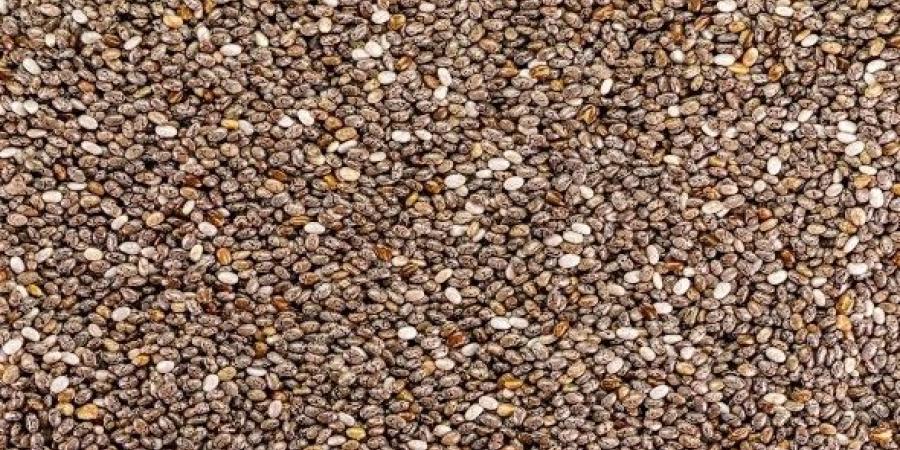 دراسة دراسة تؤكد أنّ بذور الشيا تساعد فى خفض ضغط الدم وتقليل الالتهاب - زاجل الإخباري