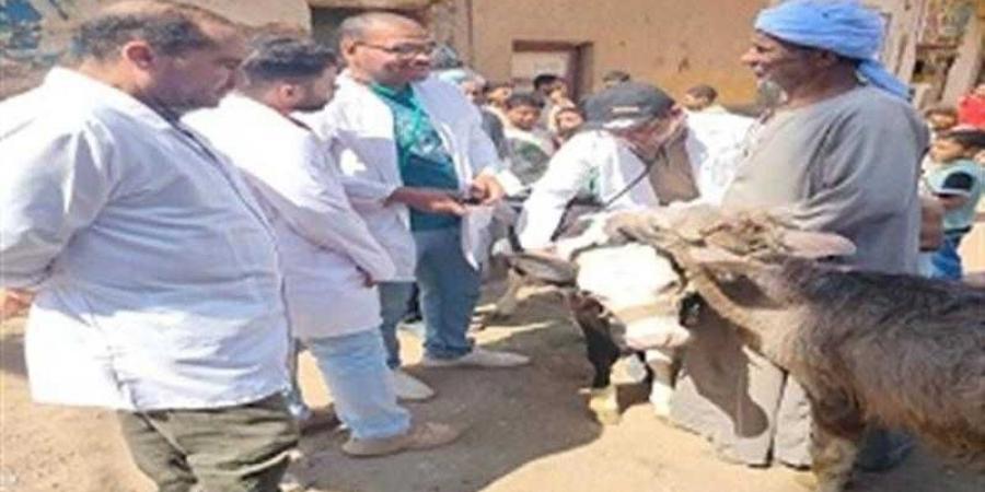 ”الزراعة” تطلق 214 قافلة بيطرية مجانية في 176 قرية خلال يونيو الماضي - زاجل الإخباري