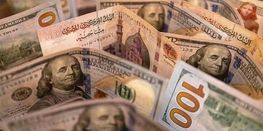 سعر الدولار اليوم مقابل الجنيه.. إليك أسعار العملات في البنوك المصرية - زاجل الإخباري
