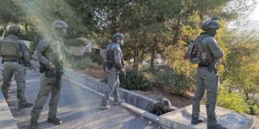 "الجدار والاستيطان الفلسطينية": 11280 اعتداء نفذها الاحتلال فى النصف الأول من 2025 - زاجل الإخباري