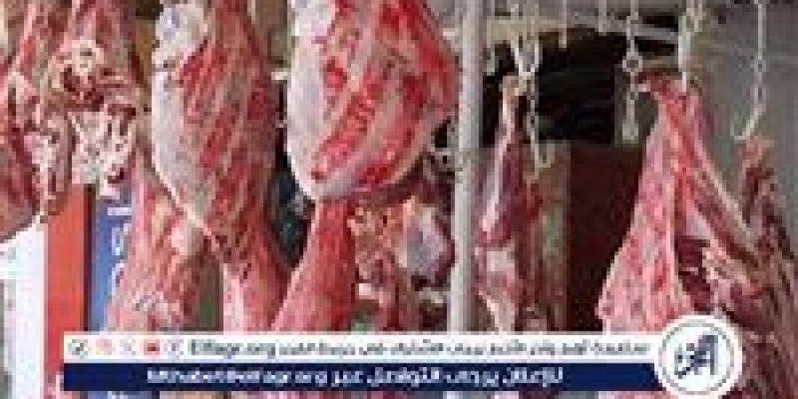 أسعار اللحوم الجملي والضاني اليوم الاثنين 18-8-2025 في الأسواق ومحال الجزارة بقنا - زاجل الإخباري
