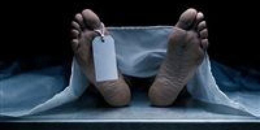 مصرع شاب بطلق ناري على يد نجل عمه خلال مشاجرة بالمحلة الكبرى - زاجل الإخباري