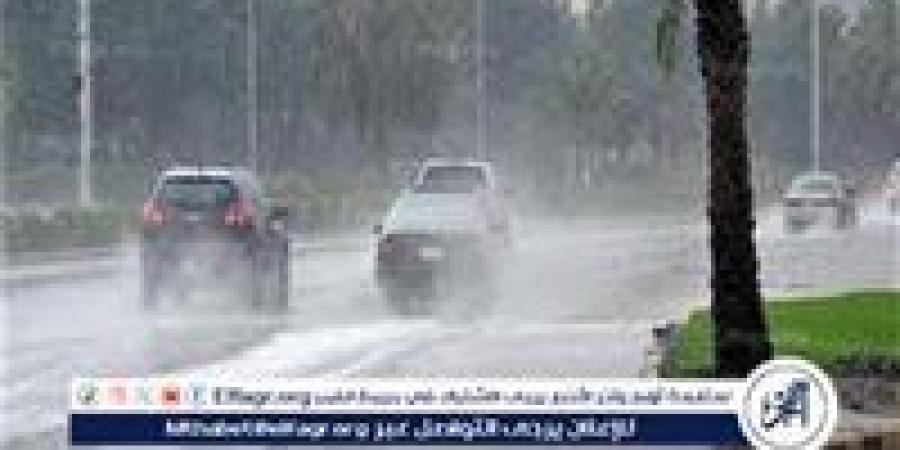 جازان الأعلى هطولًا.. أمطار متفرقة في 8 مناطق - زاجل الإخباري