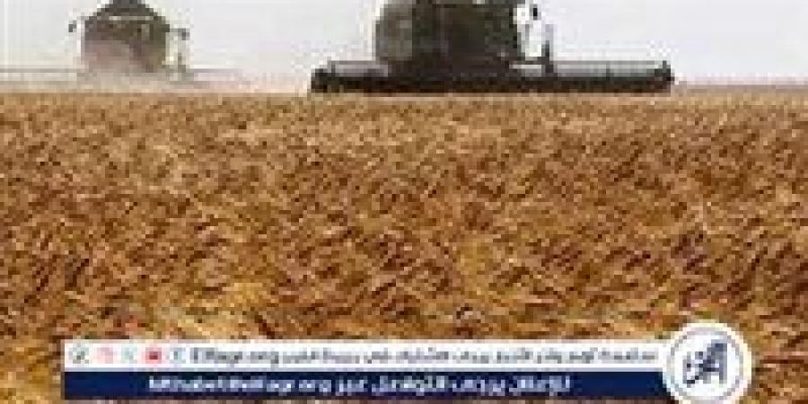 باريس: الضربات الروسية على أوكرانيا تظهر عدم وجود إرادة لإجراء محادثات سلام - زاجل الإخباري