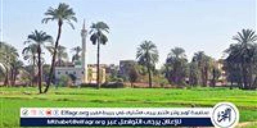 عاجل- الحكومة: دعم الصناعة والزراعة كقاطرة للتنمية - زاجل الإخباري