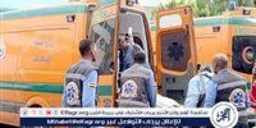 الموت فى الغربة.. وفاة سيدة سودانيه الجنسية داخل القطار بمحطة المراغه بسوهاج - زاجل الإخباري