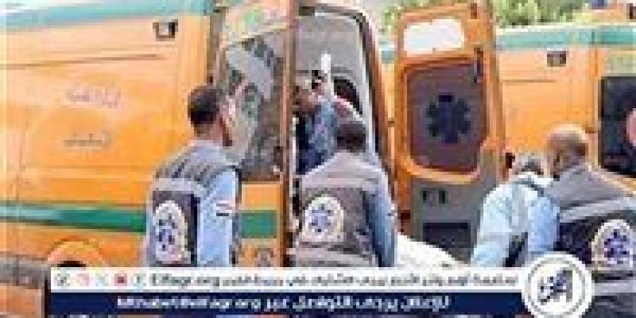 إصابة 6 أشخاص بينهم 3 سيدات بالتسمم إثر تناول عنب به مبيد حشري بالمنيا - زاجل الإخباري