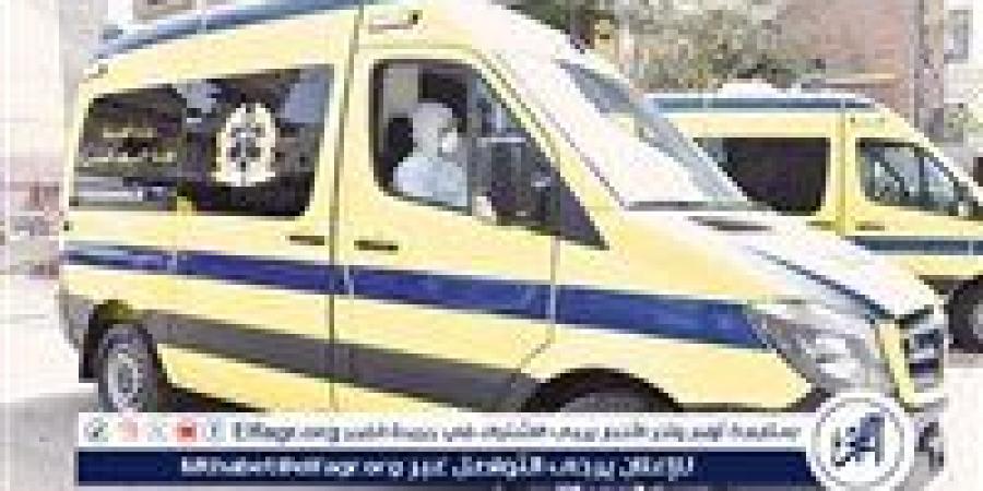 مصرع طفل دهسته سيارة ميكروباص مسرعة في الفيوم - زاجل الإخباري