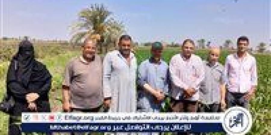 يوم حقل إرشادي بالفيوم عن الذرة الشامية في إطار مشروع ترشيد استهلاك المياه - زاجل الإخباري