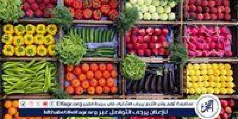 أسعار الخضروات اليوم الثلاثاء 2-9-2025 في الدقهلية - زاجل الإخباري