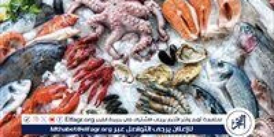 أسعار الماكولات البحرية اليوم الثلاثاء 2-9-2025 في الدقهلية - زاجل الإخباري