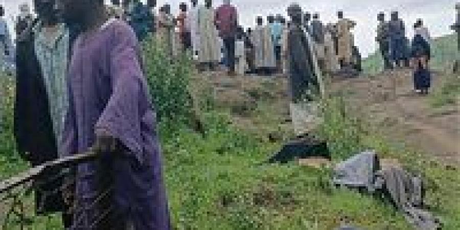 كارثة إنسانية في جبل مرة بالسودان.. أكثر من ألف قتيل بانهيار أرضي يبتلع قرية ترسين بالكامل - زاجل الإخباري