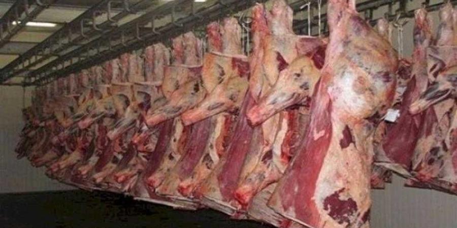 أسعار اللحوم الحمراء اليوم الخميس - زاجل الإخباري
