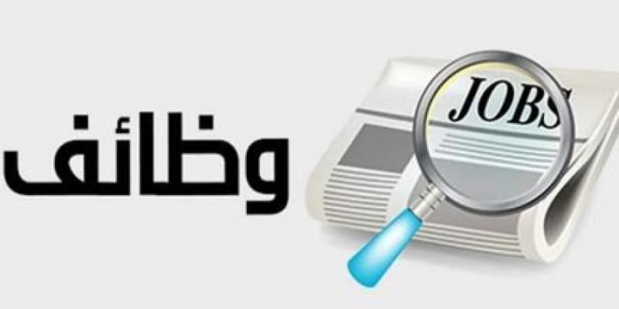 وزارة العمل تعلن وظائف جديدة برواتب تصل 12 ألف جنيه شهريًا - زاجل الإخباري