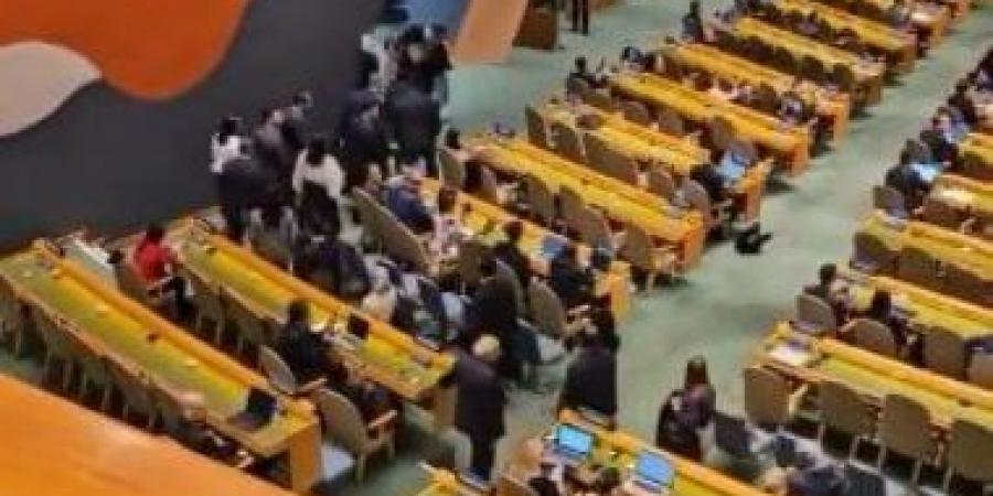 خبراء الأمم المتحدة يطالبون بعقد اجتماع طارئ للجمعية العامة لتولى "قيادة حاسمة" والمطالبة بإنهاء احتلال فلسطين - زاجل الإخباري