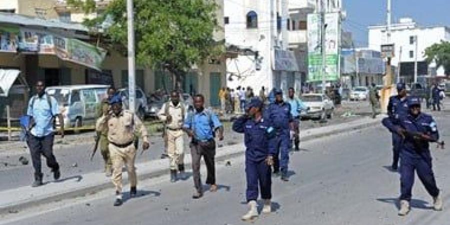 الصومال يعلن مقتل قيادى من مليشيات الخوارج تورط فى هجوم على موكب الرئيس - زاجل الإخباري