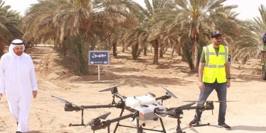 تلقيح النخيل بالطائرات المسيرة - زاجل الإخباري