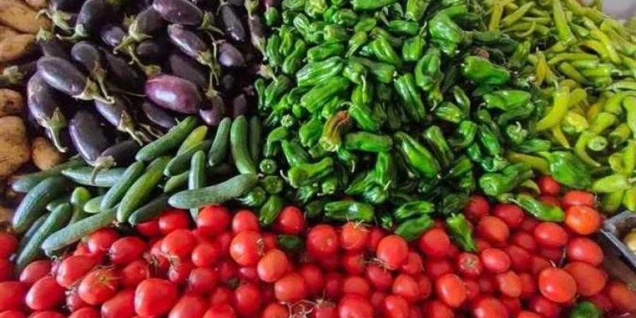 أسعار الخضروات في مصر اليوم الخميس - زاجل الإخباري