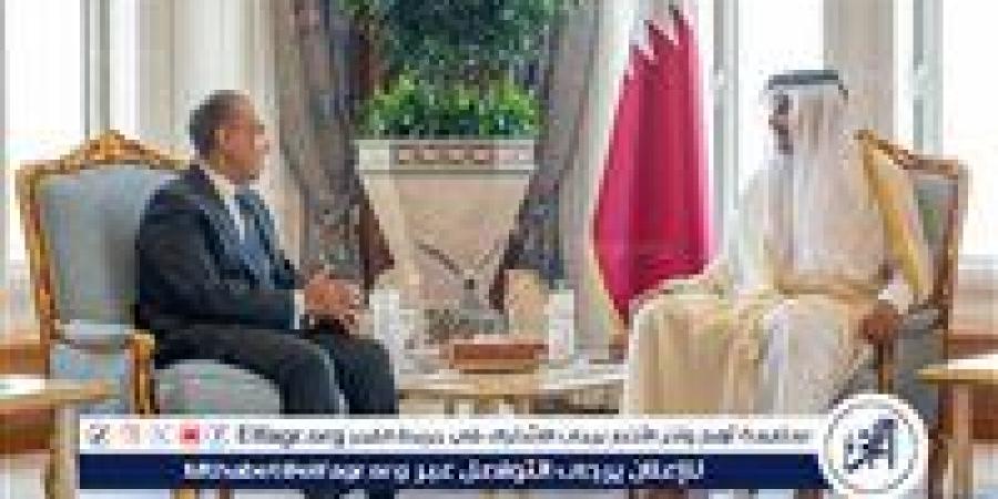 وزير الخارجية ينقل رسالة تضامن ودعم من السيسي إلى أمير قطر - زاجل الإخباري