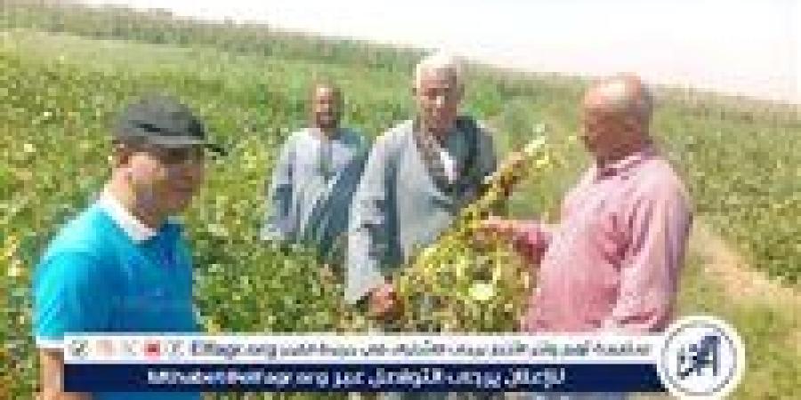 زراعة أسيوط تنظم يوما حقليا بمركز صدفا ضمن أنشطة مشروع ترشيد استخدام المياه - زاجل الإخباري